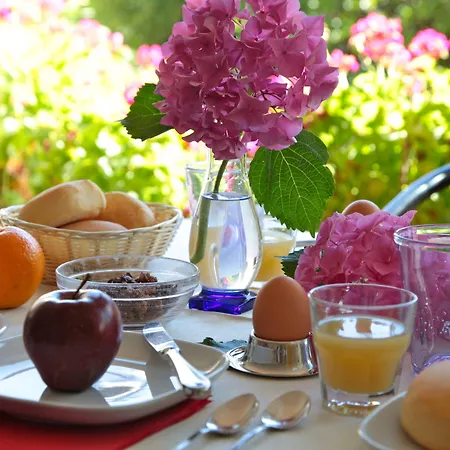 San Filis Szálloda 3*