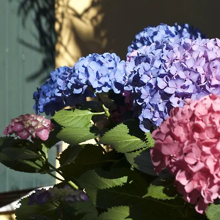 Szálloda San Filis 3*