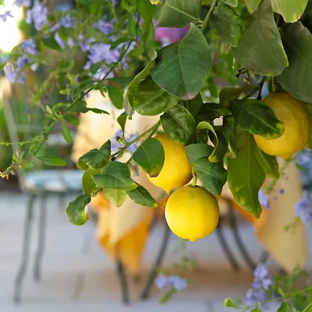 San Filis 3* San Felice del Benaco