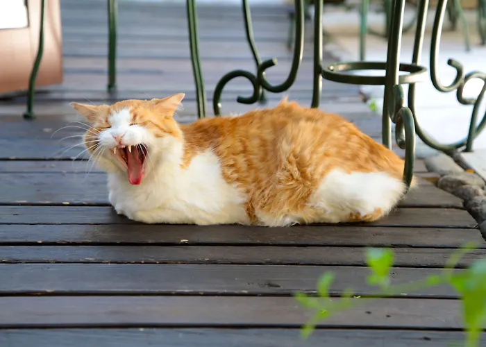 San Filis 3* San Felice del Benaco